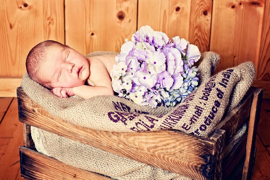 niveauvolle Babyfotografie