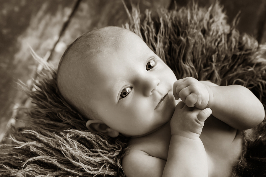 babyfotograf paderborn babyshooting paderborn wynn photodesign alexa neugeborenenfotograf-4