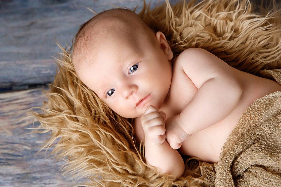 babyfotograf paderborn babyshooting paderborn wynn photodesign alexa neugeborenenfotograf-10