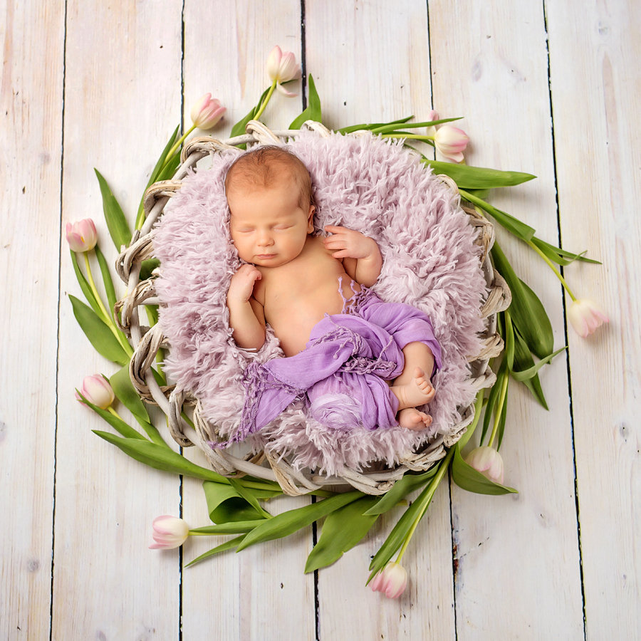 baby fotoshooting paderborn, neugeborenenfotograf bielefeld, emmi-2